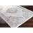 Oriental Indoor Rug-561844451