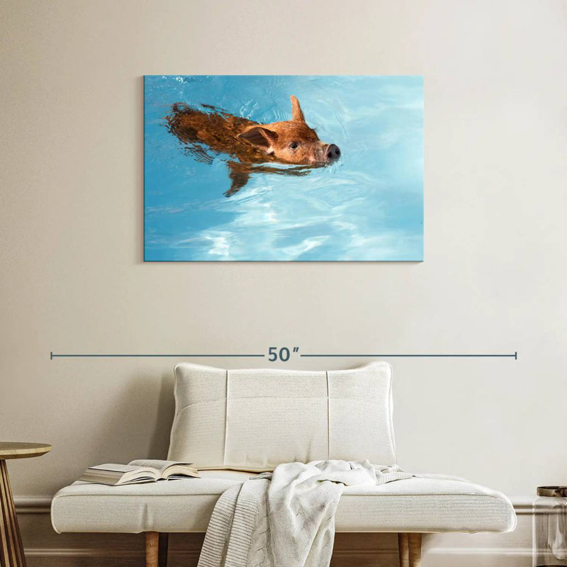 Brampt Swimming Red Piglet, 24" H x 36" W