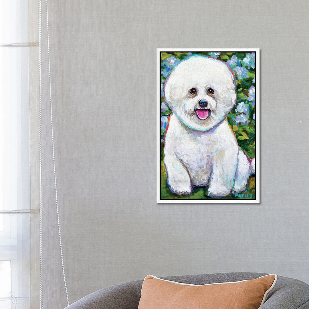 Bichon Frise And Blossoms von Robert Phelps - Galerie-verpackte Leinwand Giclée auf Leinwand