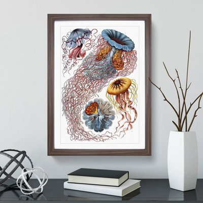 Jellyfish by Ernst Haeckel - Picture Frame Painting