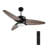 Viara 52'' Ceiling Fan with LED Lights-1353757173