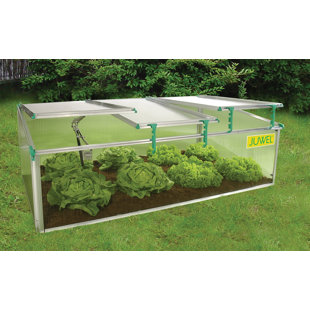 Châssis frais l 31,2 po X P 59,04 po BioStar