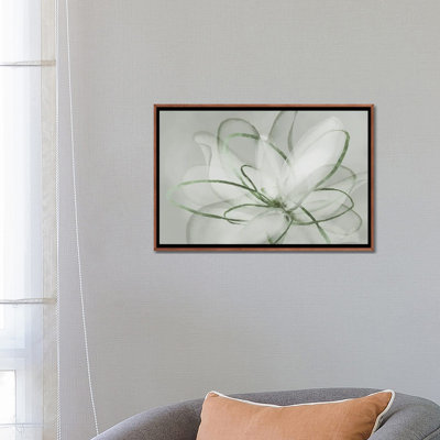 Transparent Beauty III - Sage 6 Pcs.