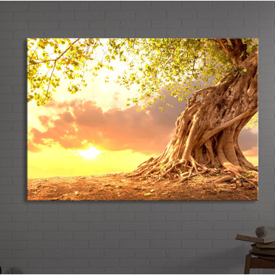 Rooted Strong Tree at Sunset 1 Piece Wrapped Canvas Wall Art