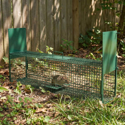 39" 2-Door Live Animal Trap Cage with Carrying Handle & Sensitive Trigger, Collapsible Steel for Raccoons, Cats, Rabbits, Skunks, Small Foxes – 39.37" L x 9.84" W x 11.02" H