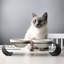 Ensemble de bols en céramique pour animaux Raised Neck Care