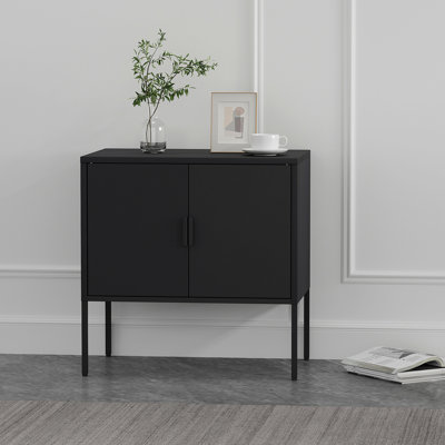 Armoire d'appoint moderne 24 po en acier inoxydable avec 2 tablettes réglables noires Ava