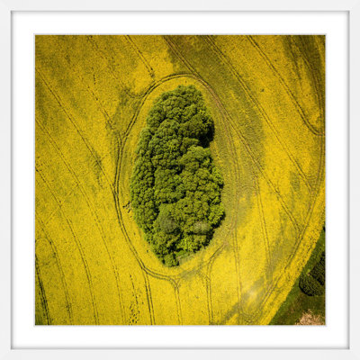 Single Picture Frame Print