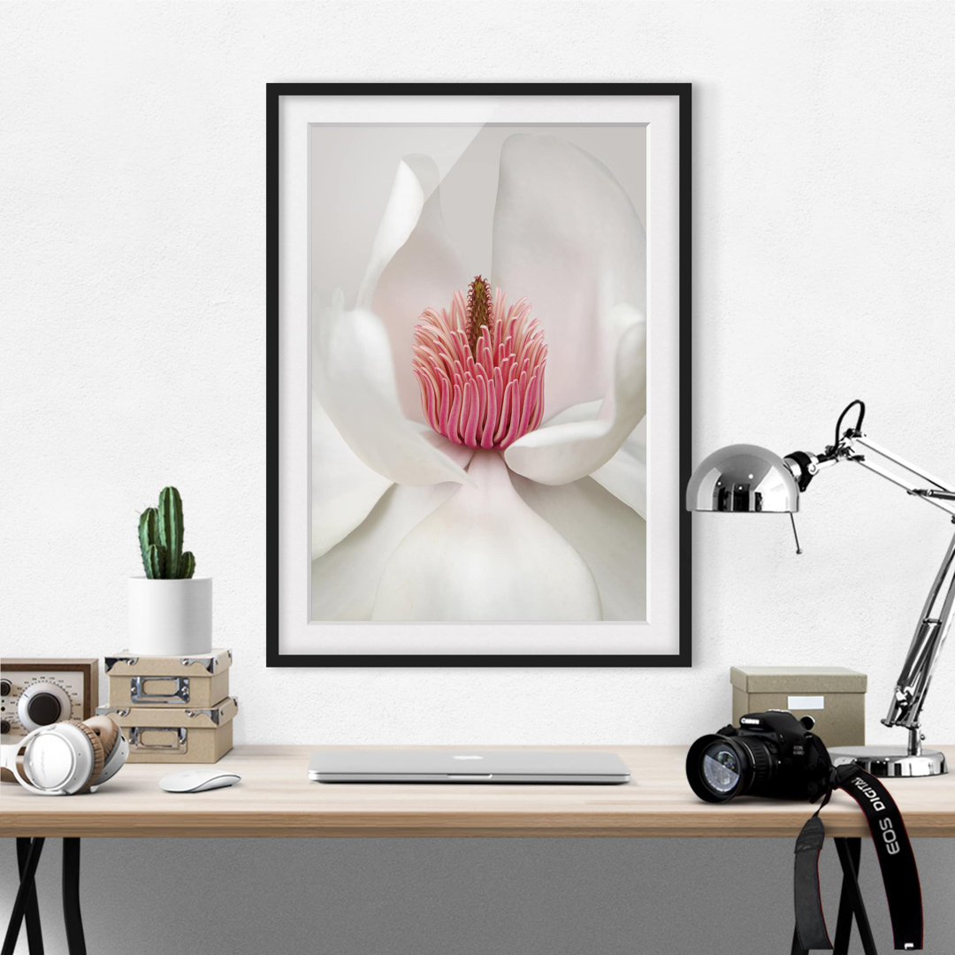 Gerahmtes Papierbild Magnolie in Rosa