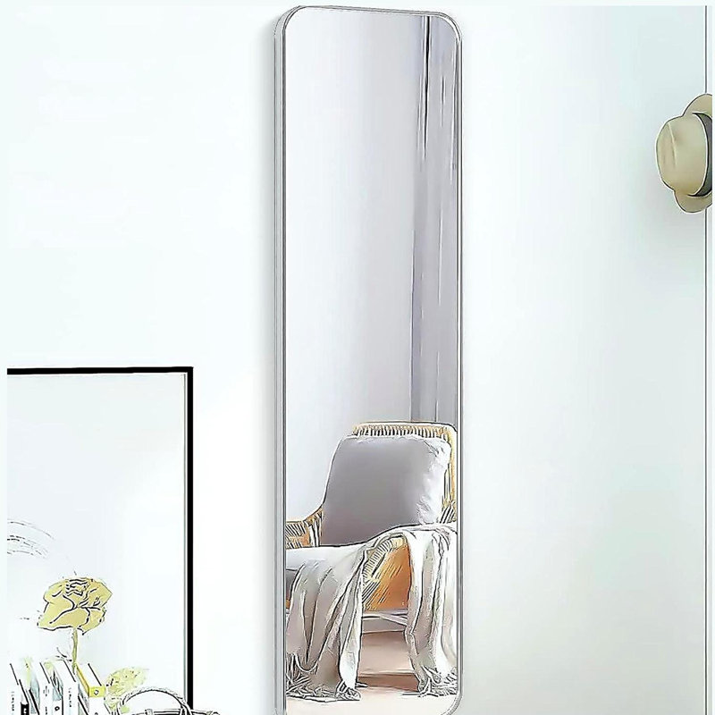 47 x 14IN Door mirror.(W2203P182160), Silver