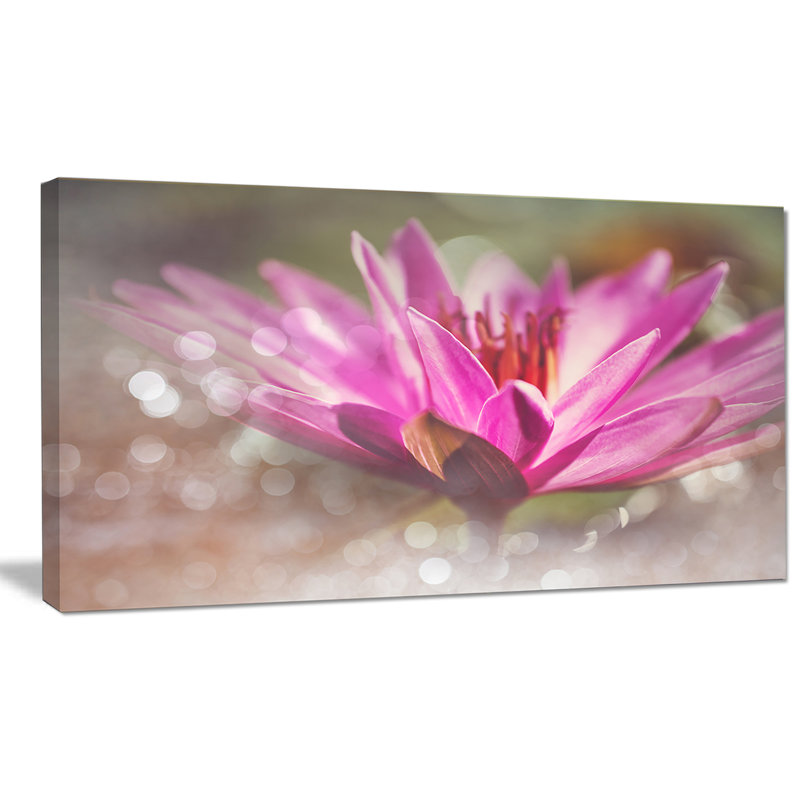 Rose rose sur fond abstrait - reproduction de photo sur toile tendue, H 16 po x l 32 po