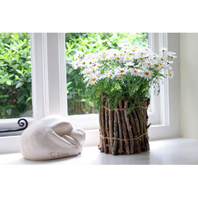 Landscape & Nature Vase Filler