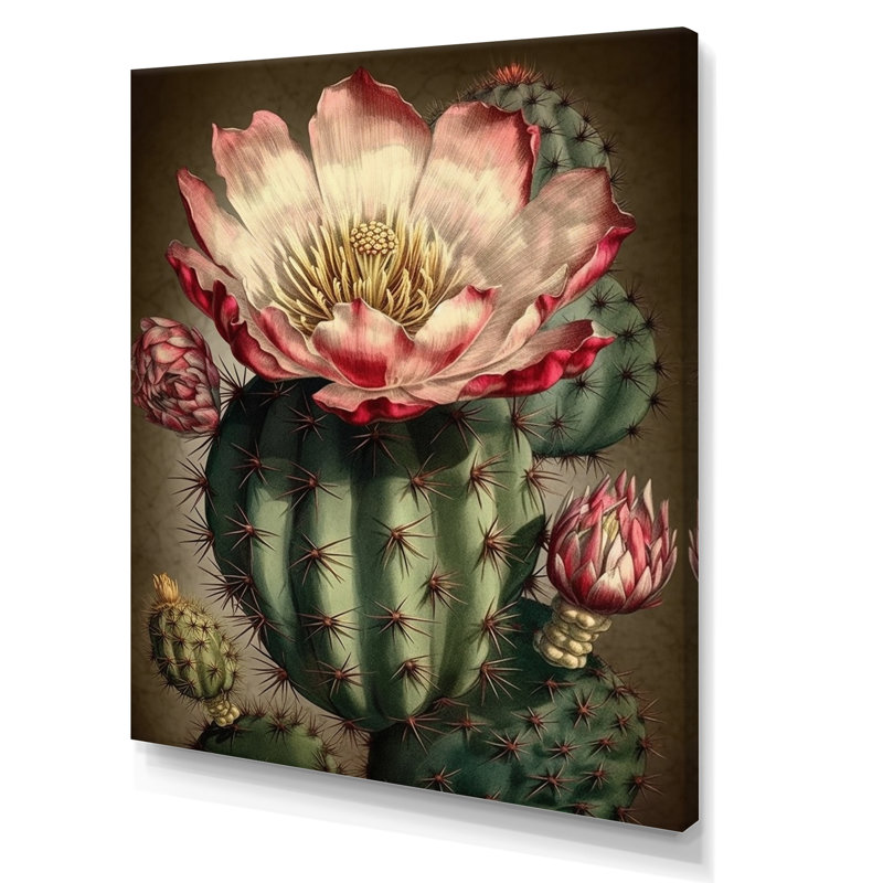 Fleur de cactus en fleur sur toile, Toile tendue, H 20 po x l 12 po x P 1 po