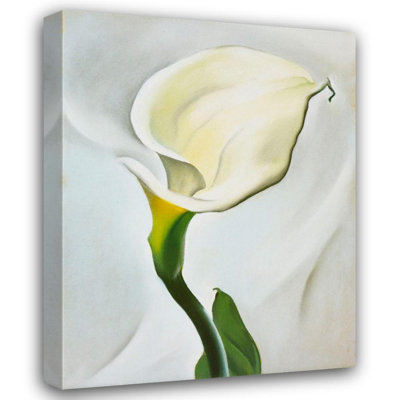 Calla Lily se détourna