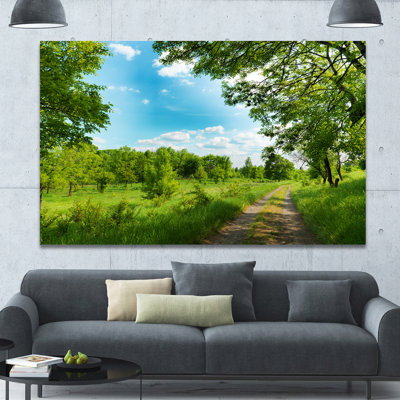 " Green Forest Road And Blue Sky "