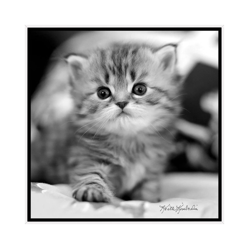 Mine by Keith Kimberlin - Print on Canvas, 93.98 cm H x 93.98 cm W, White Framed
