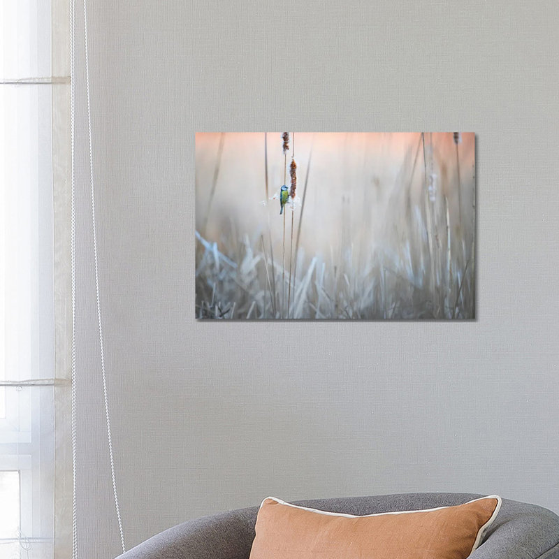 Blue Tit I by Mateusz Piesiak - Wrapped Canvas Print