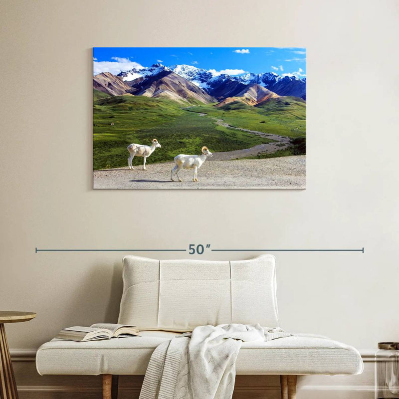 R meuble de berger à Denali, H 26 po x l 39 po