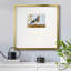 Golden Finch, reproduction d'art encadrée sur papier-287101215