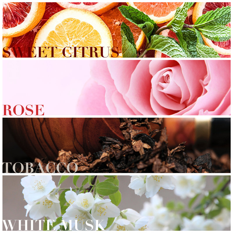 Bougie parfumée Wild Honey