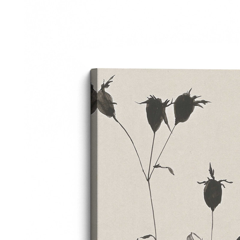 Toile tendue Black Ink Botanicals II, H 18 po x l 12 po