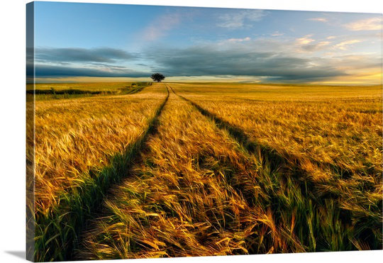 1x Piotr Krol - Wrapped Canvas Photograph, 32" H x 48" W x 1.25" D