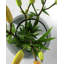 Dahntay Handmade Glass Table Vase-1805221704