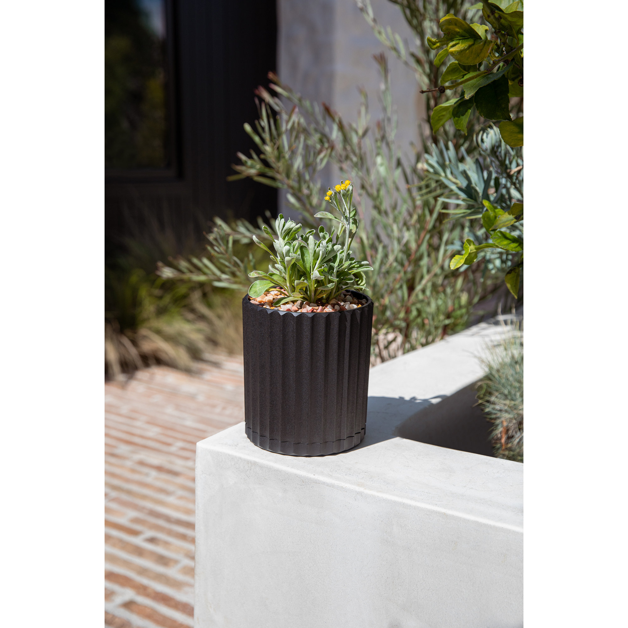 Veradek Demi Series 6" Planter, 1, Black