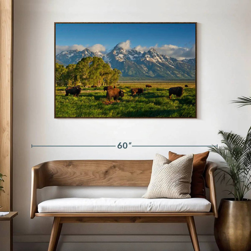 Bison de Grand Teton, 46 po x 31 po, Cadre flottant noyer