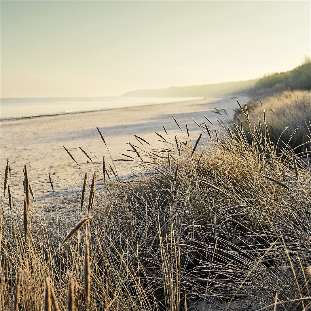 Glasbild Lost Dunes I