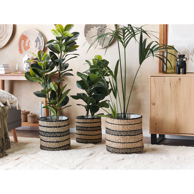Sparta Plant Pot
