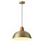 Luminaire suspendu conique à 1 lumière Bernyce-1356188213-1356188222