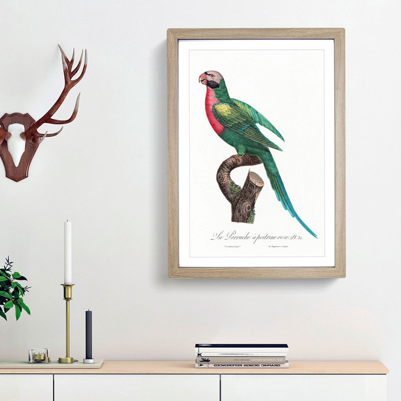 Red-Breasted Parakeet by F. Levaillant - Picture Frame Painting Print, 65cm H x 48cm W x 2cm D, Oak Framed