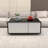 Smart Coffee Table With Built-In Fridge-109833934