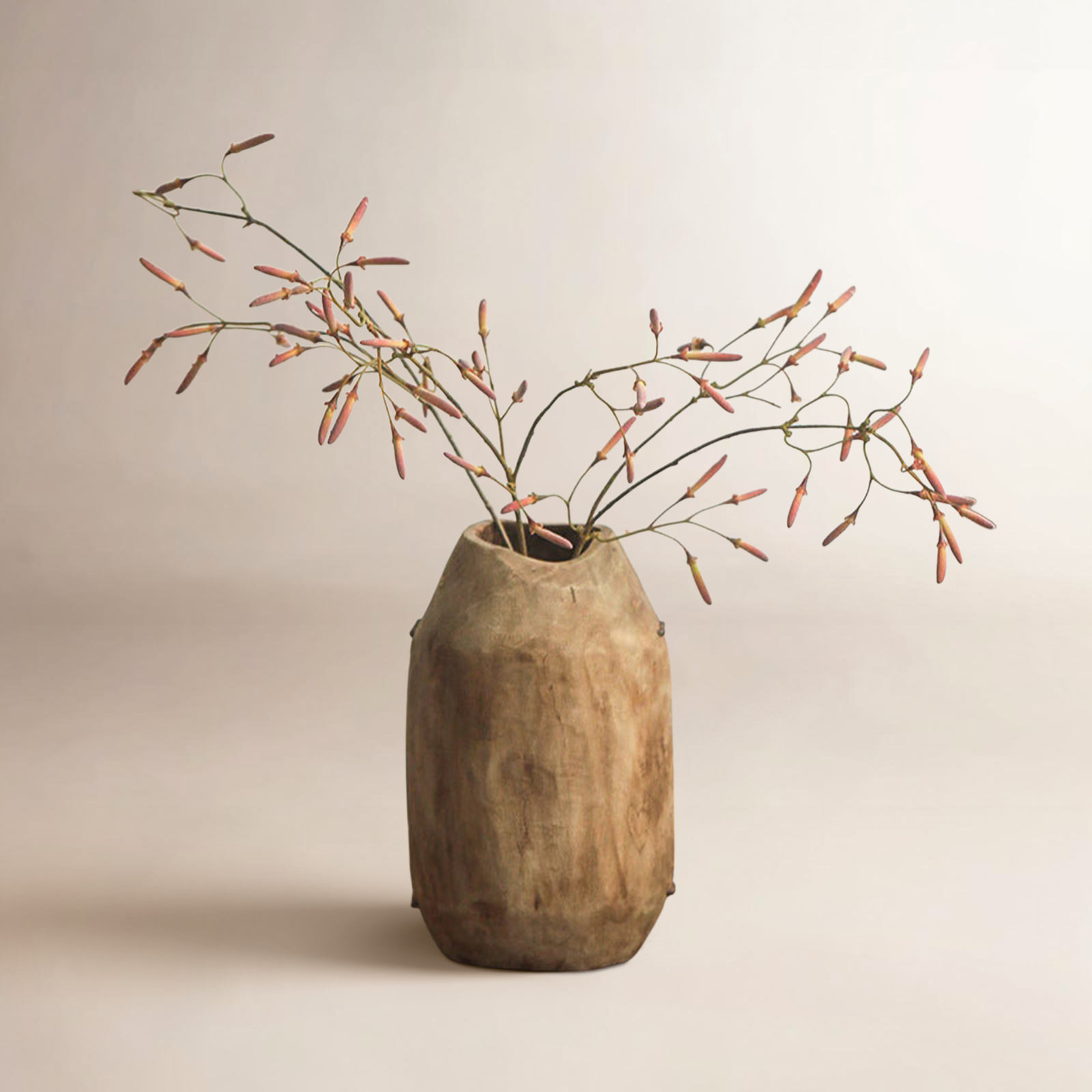 Red Bean Floral Stems