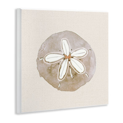 Serene Beige Sand Dollar Wall Plaque, design by Lanie Loreth