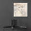 «Gray Head III» par Chris Paschke-1332582087