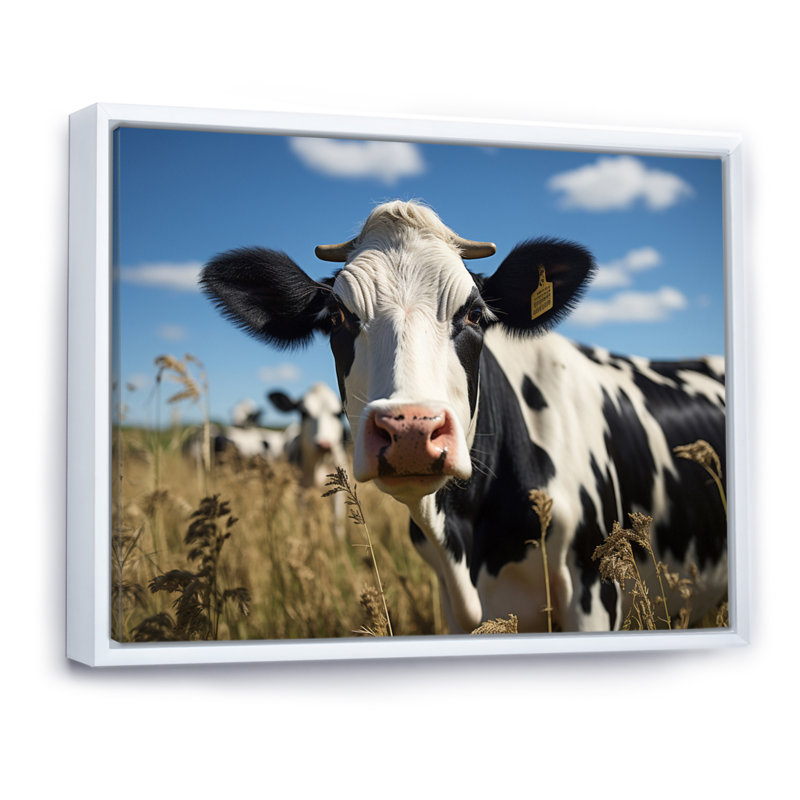 Cow Majestic II - Animals Canvas Prints, H 24 po x l 32 po x P 1 po, Cadre flottant blanc