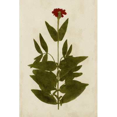 Botanical Impression IV - Painting Print