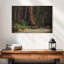Route Harnek Sequoia-107859673