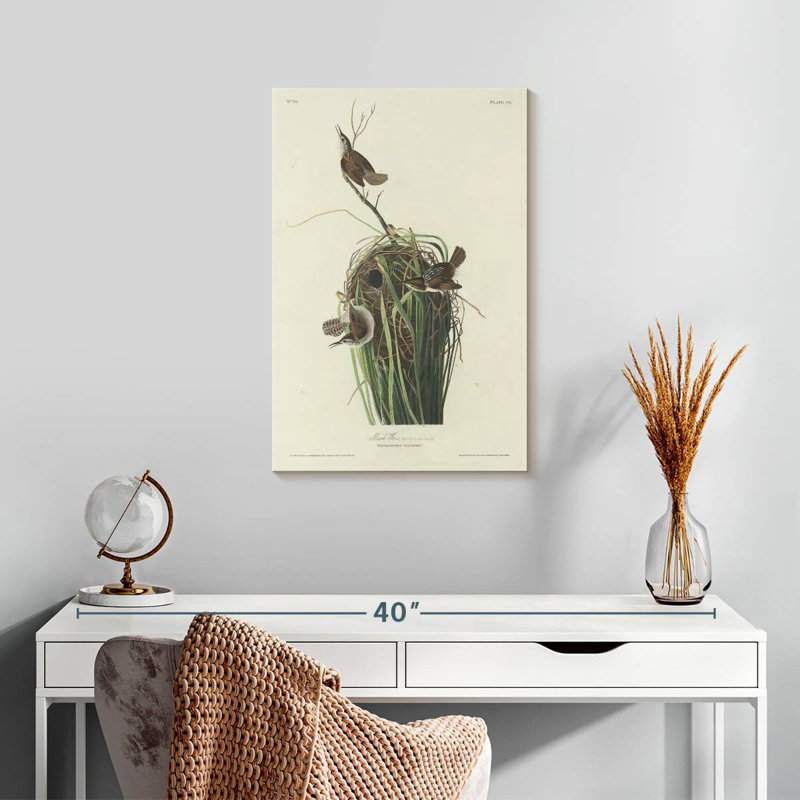 Keiri Marsh Wren, 24" H x 16" W