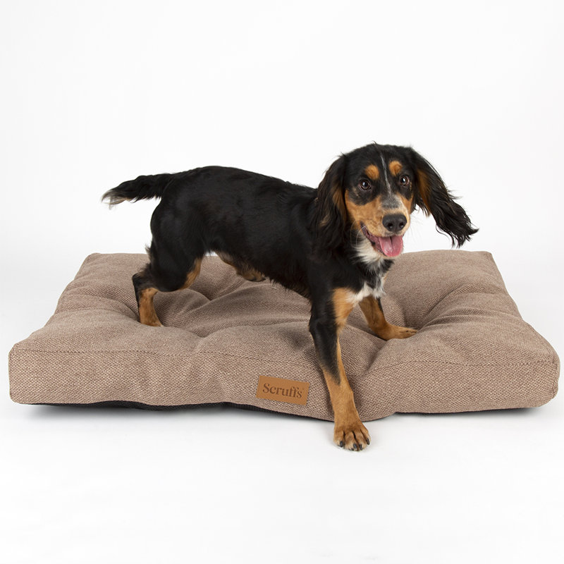 Scruffs Seattle - Luxury Dog Bed Mattress, 14cm H x 100cm W x 70cm D, Sienna Brown