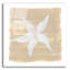 «Soft Sea Starfish» par Yvette St. Amant, art mural en verre acrylique-908164014