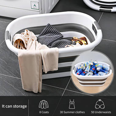 Rebrilliant Collapsible Laundry Basket & Reviews