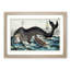 Hunting a Whale - Framed Print-55578701-55578702
