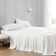  Eucalyptus 100% Silky Soft Modern Contemporary 4 Piece Sheet Set