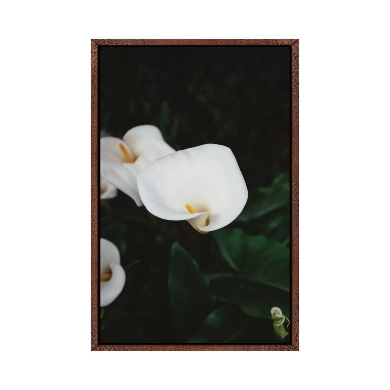 Carmel Blooms II by Bethany Young - Print on Canvas, Classic Brown Wood Framed, 66.04cm H x 45.72cm W x 3.81cm D