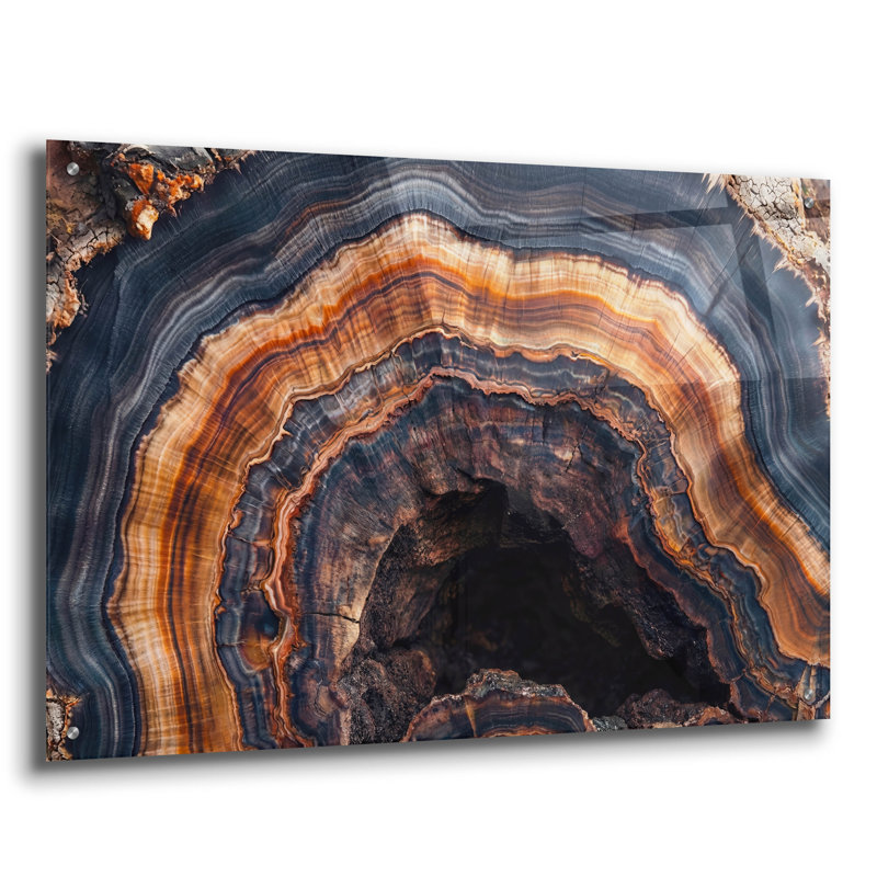 Art mural en verre acrylique épique «Petrified Tree Trunk» par Rich Monet, 36 po x 24 po, H 24 po x l 36 po