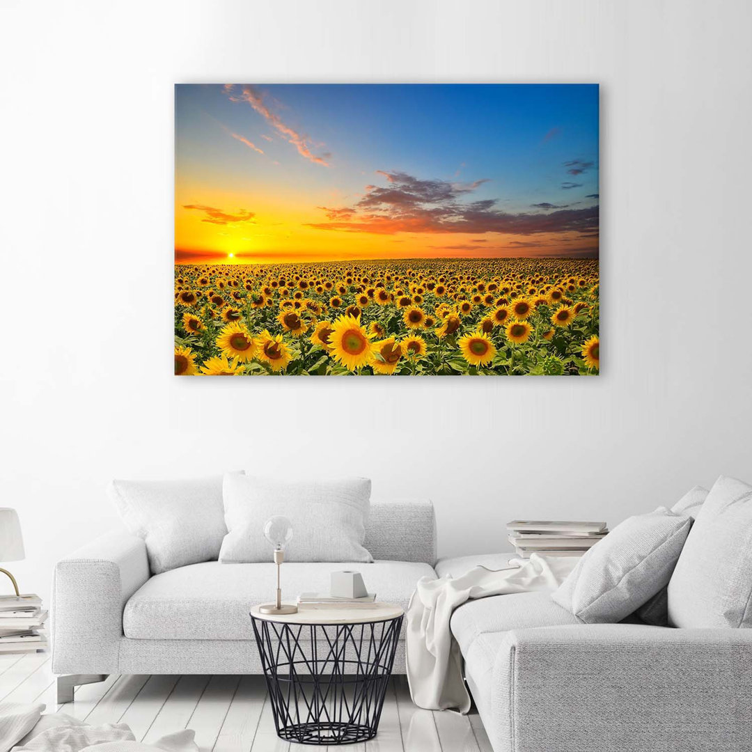 Leinwandbild Sunflowers Sunset