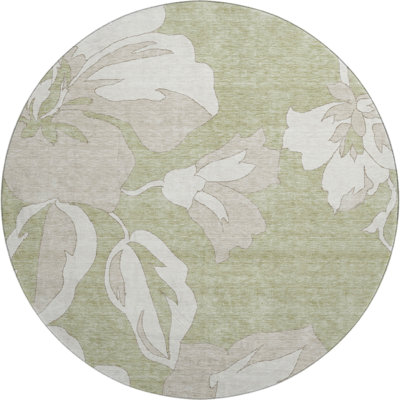 Premium Machine Washable Prisco Aloe Rug